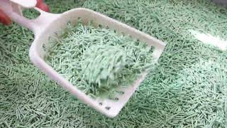 green tea cat litter by Emily pets 6 views 3 weeks ago 32 seconds