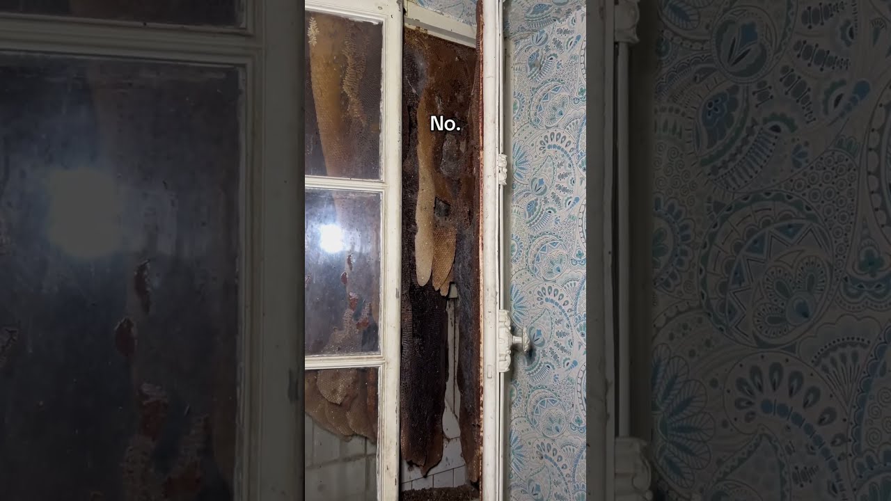 One Of The Scariest Encounters A Person Can Have 