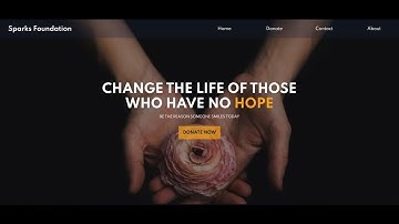 RazorPay Payment Gateway Integration Sparks Foundation