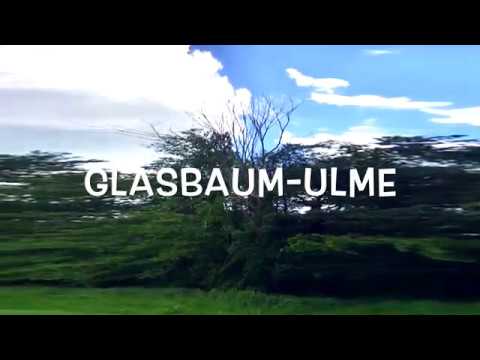 Video: Glasbaum