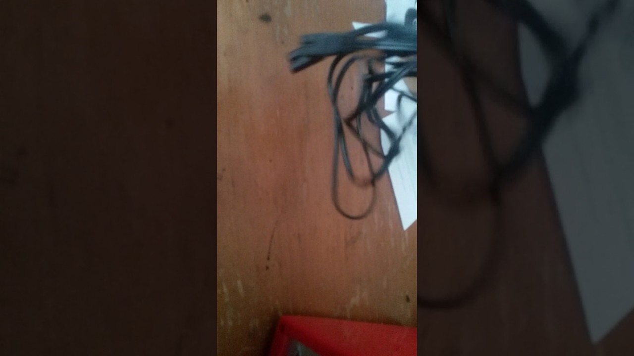 Igloo mini cola fridge