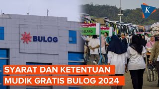 Mau Ikut Mudik Gratis Bulog 2024? Cek Syarat dan Ketentuannya