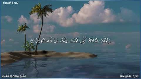 تلاوة غاية في الجمال لما تيسر من سورة الشعراء بصوت الشيخ محمود شعبان #قرآن #تلاوة_خاشعة
