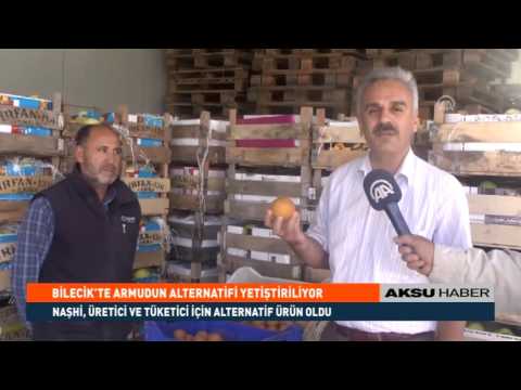 Video: Shinko Asya Armutlarının Bakımı – Manzarada Shinko Armutları Nasıl Yetiştirilir