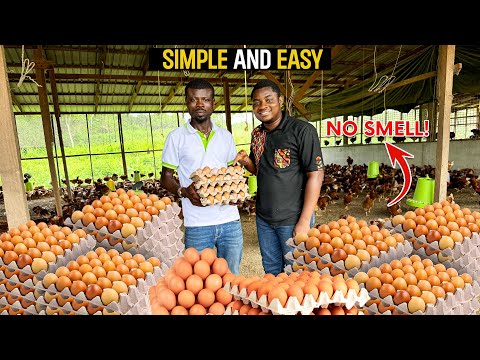 How To Make