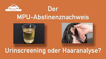 Wie lange dauert es bis Alkohol aus den Haaren ist?