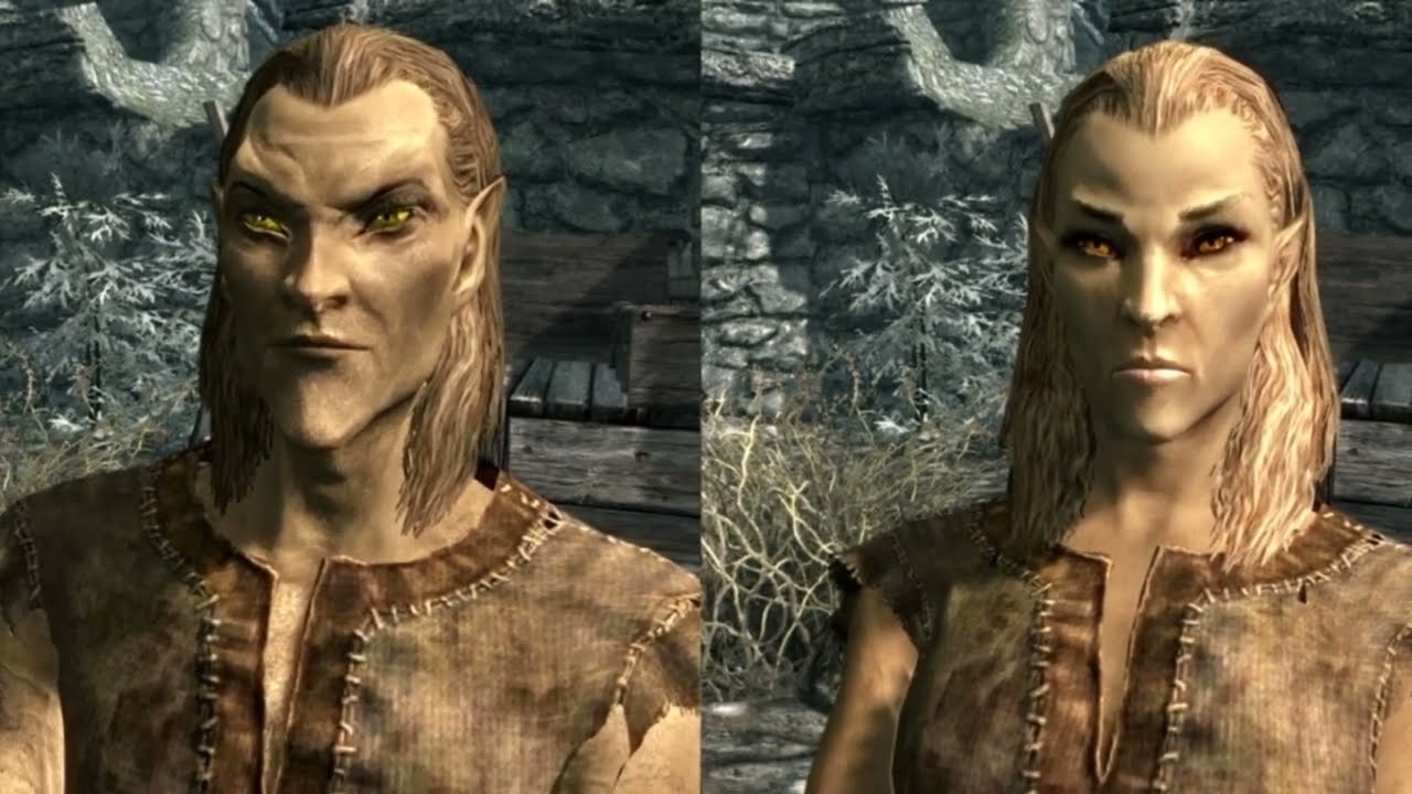 альтмер скайрим. Skyrim эльфы. Skyrim эльфы. скайрим альтмерка. скайрим альтмеры арт.