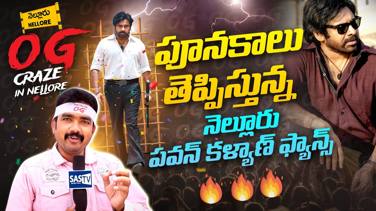 OG Movie Craze in Nellore 🔥 | Nellore Pawan Kalyan Fans | OG Movie Hype in Nellore | SASTv