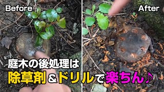 【DIYで庭いじり】伐採した木の簡単な枯らし方♪