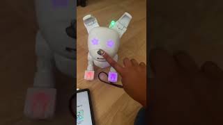 Minting Dog-E based on #StarSigns! ♍️🌈   #robotdog #shorts screenshot 2