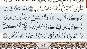 القرآن الكريم سورة آل عمران الآيتين 185 وَ  186
