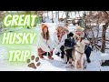 Husky trip in Hungary?? - Deffinitely cheaper than Scandinavia