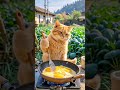 "Rate this 1-10! 👇🫣" || #shorts #cartoon #animation #shortsfeed #cat #usa