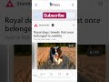 Royal Dogs Breeds that Once Belonged To Nobility in India And Talgau country #shorts #dog #