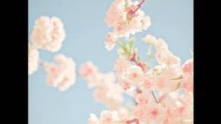 Primavera - The Gift (letra)