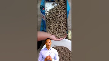 for poultry and livestock feed pellet machine different model#fcnfm