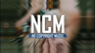 Silent Partner - Spring in my step (No Copyright Music)