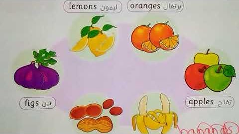 انجليزي تانية ابتدائي الدرس التاني الوحدة الثامنة الترم الثاني connect 2 unit 8 lesson 2