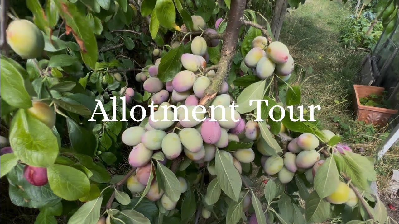 First Day on our NEW Allotment Adventure! | Lakeda Gardens EP1