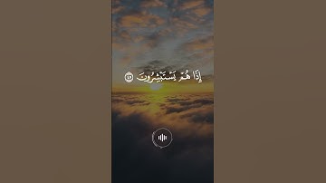 سورة الزمر - ماهر المعيقلي - تلاوة خاشعة #المصحف