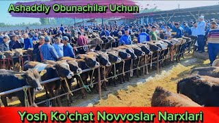 Talablarga Binoan Yosh Ko'chat Novvoslar Narxlari Shahrixon Xoldanbek  Chorva Bozori 14-may, 2024