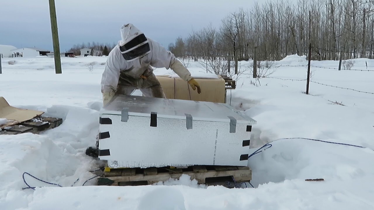 An Alberta Bee Keepers Vlog