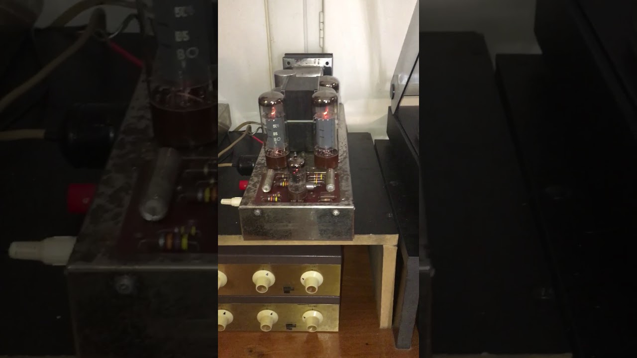 Dynaco Mark IV + Pam 1 W/Telefunken S600