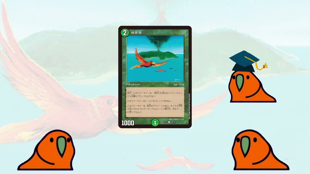 極楽鳥 Birds of Paradise - YouTube