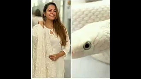 All nagin actress 🆚 snake 🐍😘💕👍😍💯#shorts #nagin#jeevikadahiya