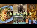 🇹🇭 나 혼자 치앙마이 4박 5일✨ | 아기코끼리🐘실물영접💓 |  코끼리바지 사망😑 | 치앙마이 한달살기💃 버킷리스트에 추가🥹