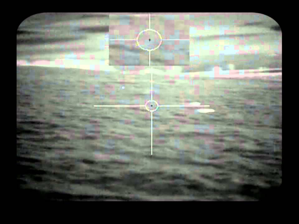 Thermal Rabbits 2 YouTube