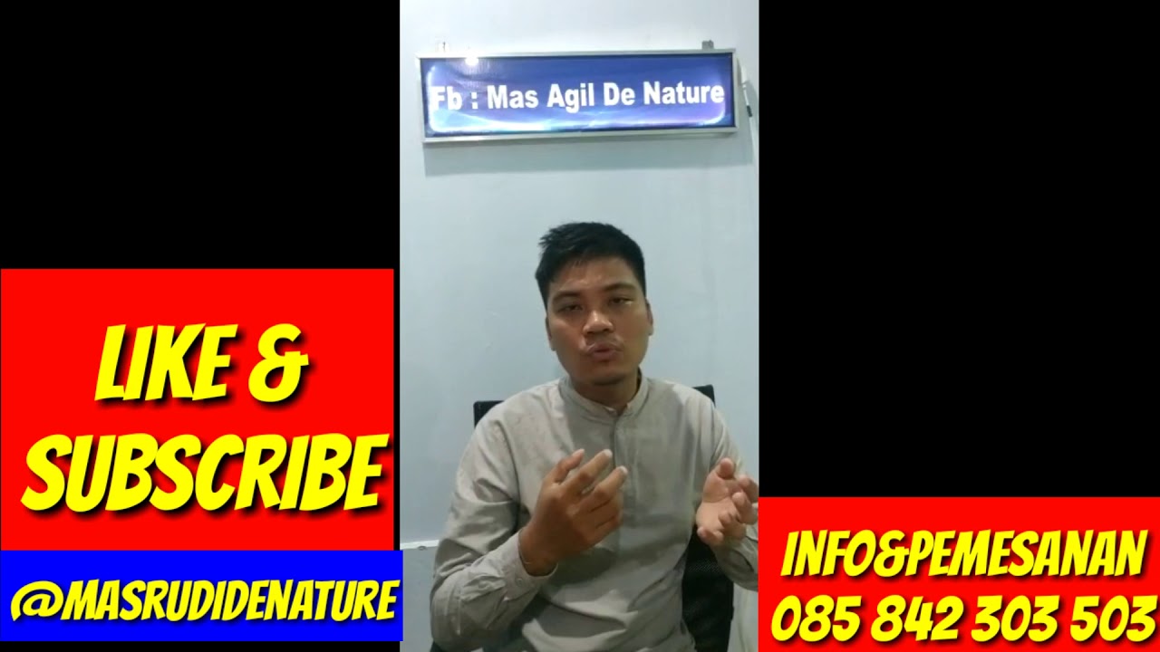 Cara Mengobati Alergi terhadap Sea Food by Mas Rudi De Nature 