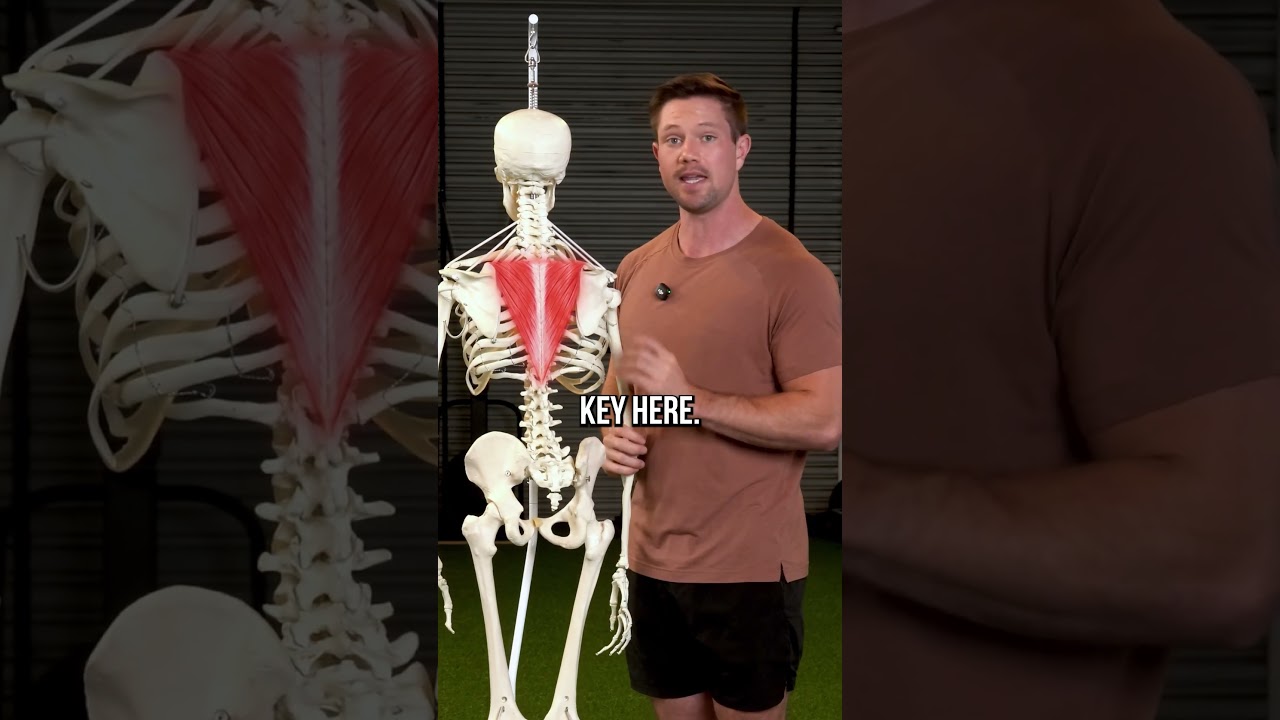 Finally Fix Your Tight Upper Traps - No Stretching Required