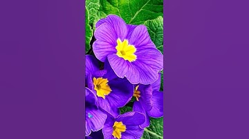 ربنا ما خلقت هذا باطلا #الشيخ_عبدالباسط_عبدالصمد #القرآن_الكريم #قرآن #الحنجرة_الذهبية #تلاوه #آية