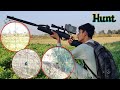 Air gun hunting pigeon water hen with gamo air riflemz birds hunting