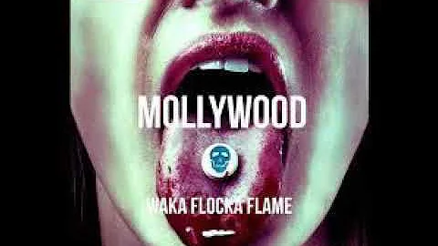 Waka Flocka Flame - Young N**** (ft. Gucci Mane) (CLEAN)
