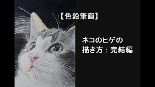 【色鉛筆画】ネコのヒゲの描き方　完結編