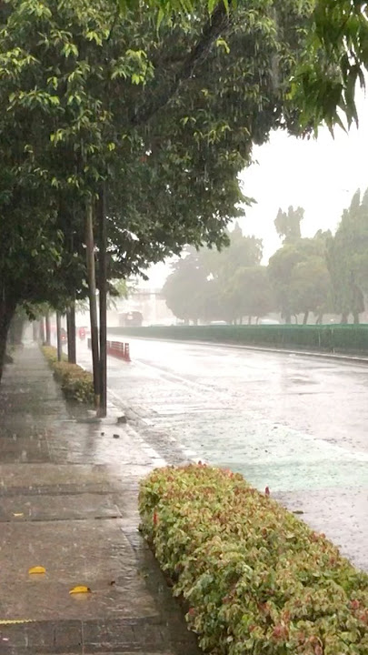 Suara Hujannya Cocok Buat Reflexy #suarahujan #rainsounds #rainbow #rain