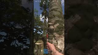 Am I a Gamer?  #rustgame is Causing Some Doubt  #gaming #audaxhaereticus #gamingshorts