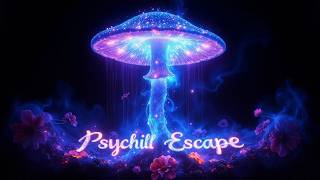 Journey Through Psychill | Drift & Expand Your Mind