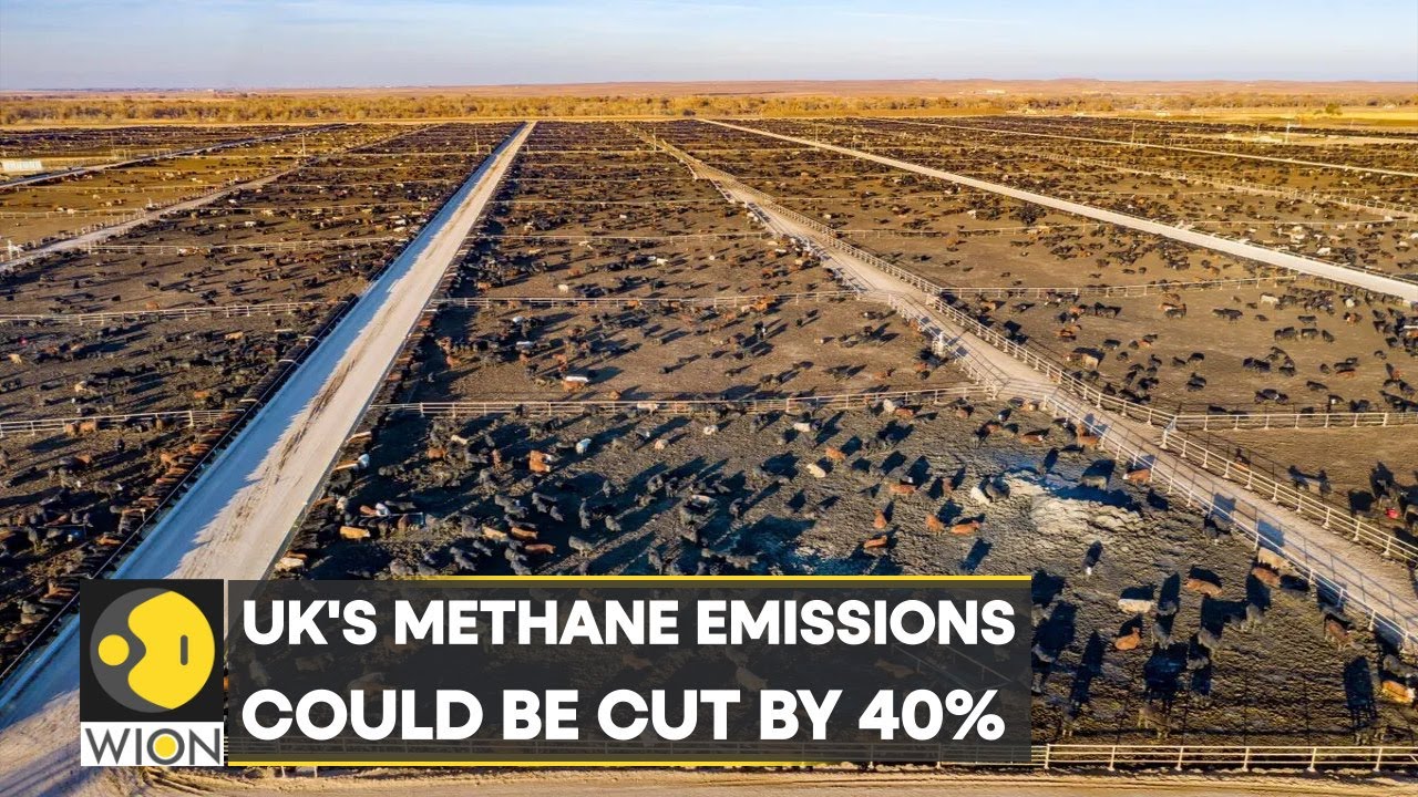 WION Climate Tracker: A way to cut UK’s methane emissions by 2030