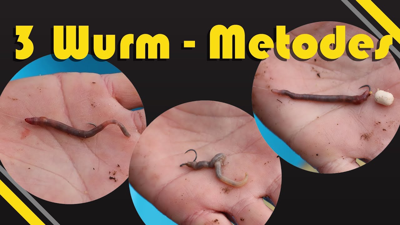 3 Verskillende maniere om wurms aan te sit. - YouTube