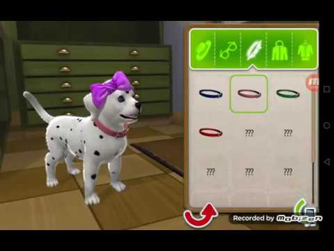 PS Vita Pets: Твой щенок Прохождения 1#