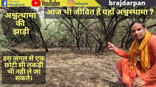 अश्वत्थामा की झाड़ी - आज भी जीवित हैं यहाँ अश्वत्थामा