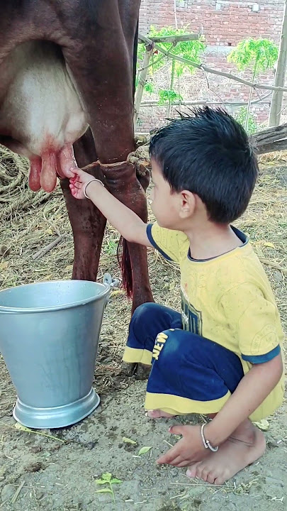 Choti choti gaiya choti rtyu