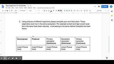 Opp assignment 13: Food Chain - Google Docs