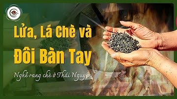 Thợ Rang Chè Thái Nguyên: Chuyện Nghề Ít Ai Hiểu - Nhật Kí Đất Trà Tập 5