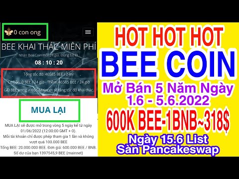 Video BEE COIN ĐÃ ĐƯỢC BÁN 600K 1BNB ~ 318$ TRONG VÒNG 5... - youtube