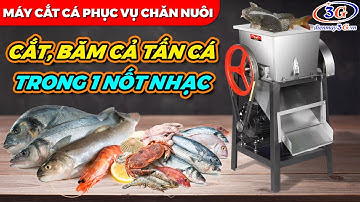 Máy Cắt Cá, Cắt Phế Phẩm Lò Mổ Làm Thức Ăn Thủy Hải Sản| Điện Máy 3G
