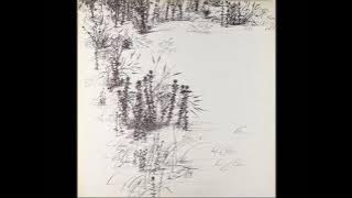 Bill Camplin - January Guitar